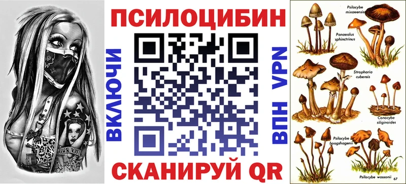 Купить закладки  Кукмор  Псилоцибиновые грибы прущие грибы 